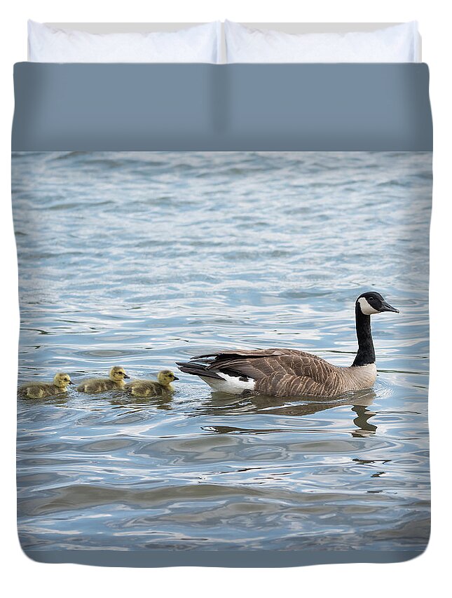 Goose Duvet Cover featuring the photograph Canada Goose With Its Goslings by Holden The Moment
