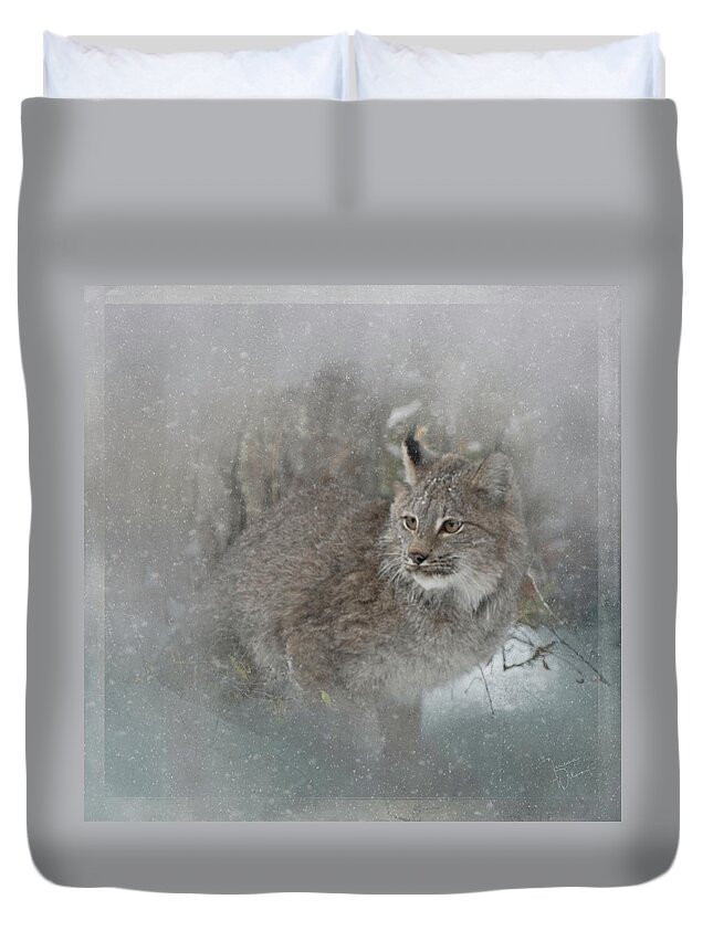 Animal Duvet Cover featuring the photograph Canada Lynx Painted by Teresa Wilson