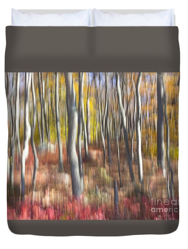 Abstract Duvet Cover featuring the photograph Candy-Colored Forest by Lili Feinstein