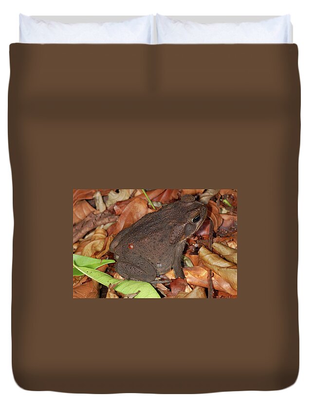 Bufo Marinos Duvet Cover featuring the photograph Cane Toad by Breck Bartholomew