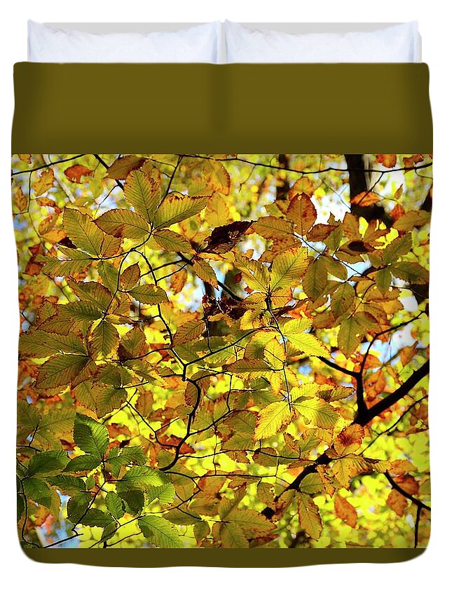 Autumn Duvet Cover featuring the photograph Canopy of Autumn Leaves by Angie Tirado