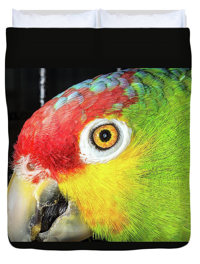 Red-lored Amazon Parrot Green Bird Red Yellow Red Eye Beak Macro Duvet Cover featuring the photograph Can't You See I'm Eating? by Robert Culver