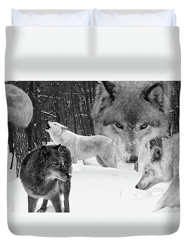 Photograph Of A Wolf Duvet Cover featuring the photograph Canus Lupus Carnivora by Steve and Sharon Smith