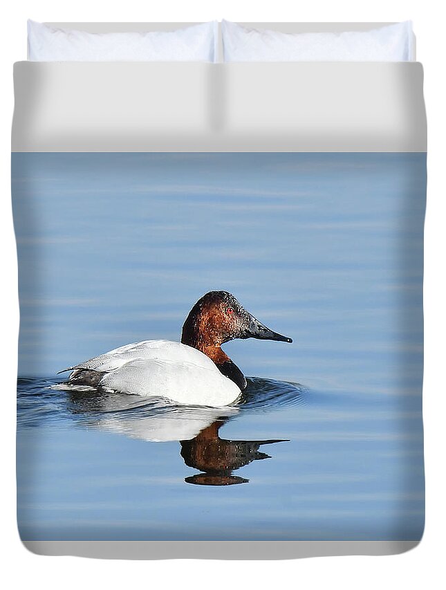 Waterfowl Duvet Cover featuring the photograph Canvasback Duck by Alan Lenk