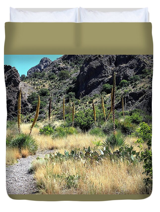 Las Cruces New Mexico Duvet Cover featuring the photograph Canyon Springs Trail by Barbara Chichester