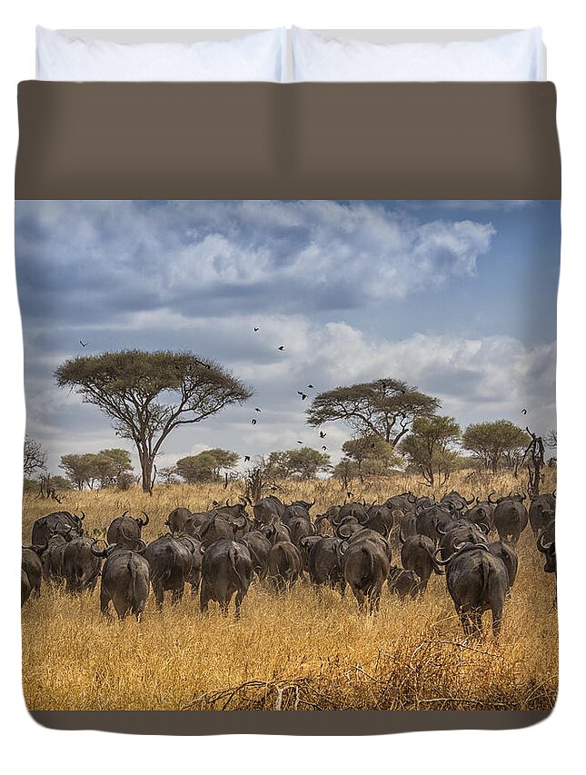 African Buffalo Duvet Cover featuring the tapestry - textile Cape Buffalo Herd by Kathy Adams Clark