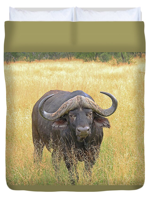 Cape Buffalo Duvet Cover featuring the photograph Cape Buffalo by Richard Krebs