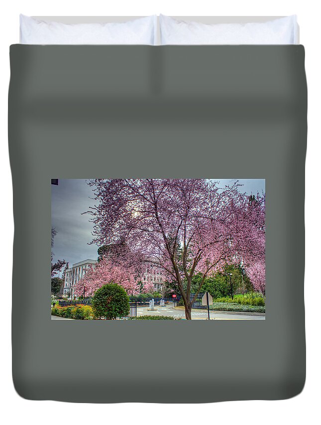 Lavendar Duvet Cover featuring the photograph Capitol Tree by Randy Wehner