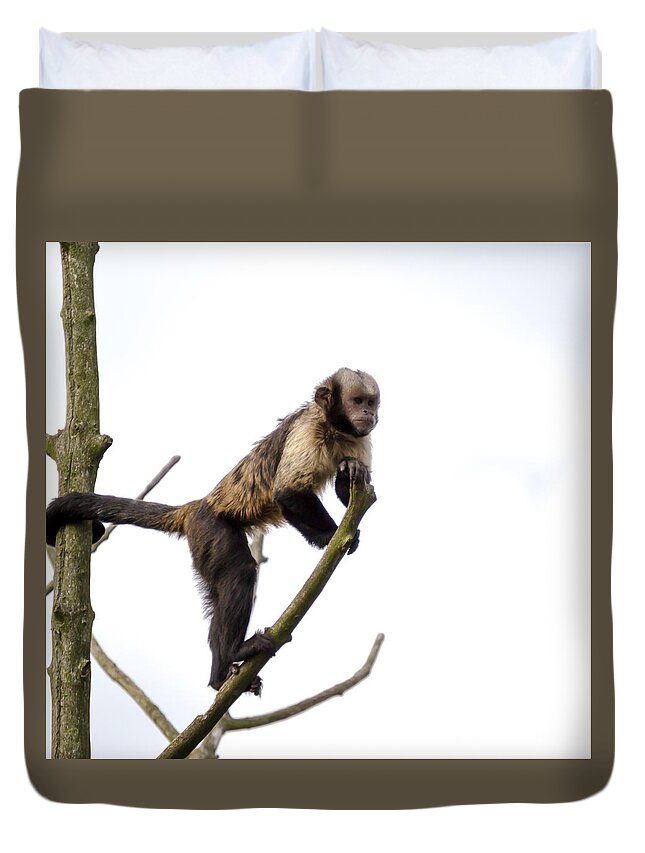Animal Duvet Cover featuring the photograph Capuchin Monkey by Scott Lyons