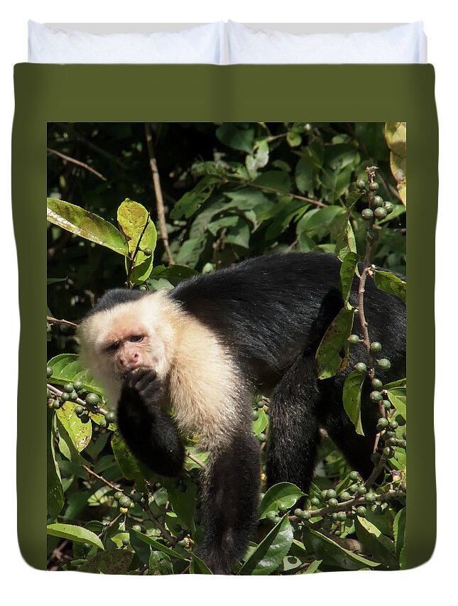 Capuchine Monkey Duvet Cover featuring the photograph Capuchine 2 by Jessica Levant