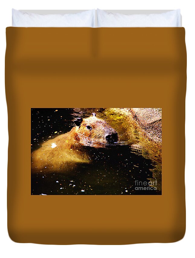 Capybara Duvet Cover featuring the photograph Capybara 1 by David Frederick