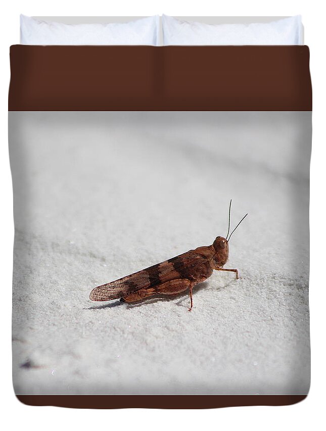 Locus Duvet Cover featuring the photograph Caramel and Coffee Brown Locus in White Sands by Colleen Cornelius