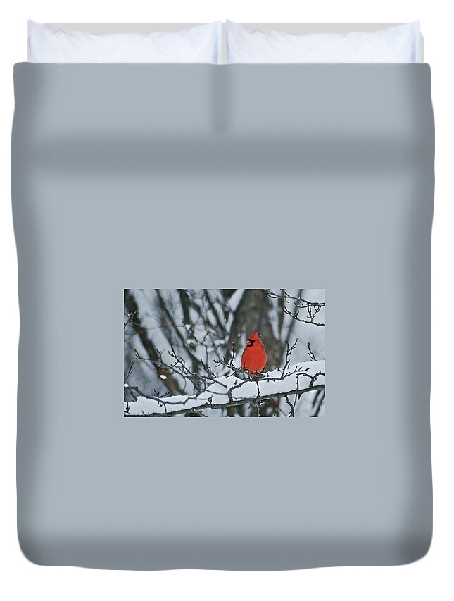Cardinal Duvet Cover featuring the photograph Cardinal and snow by Michael Peychich