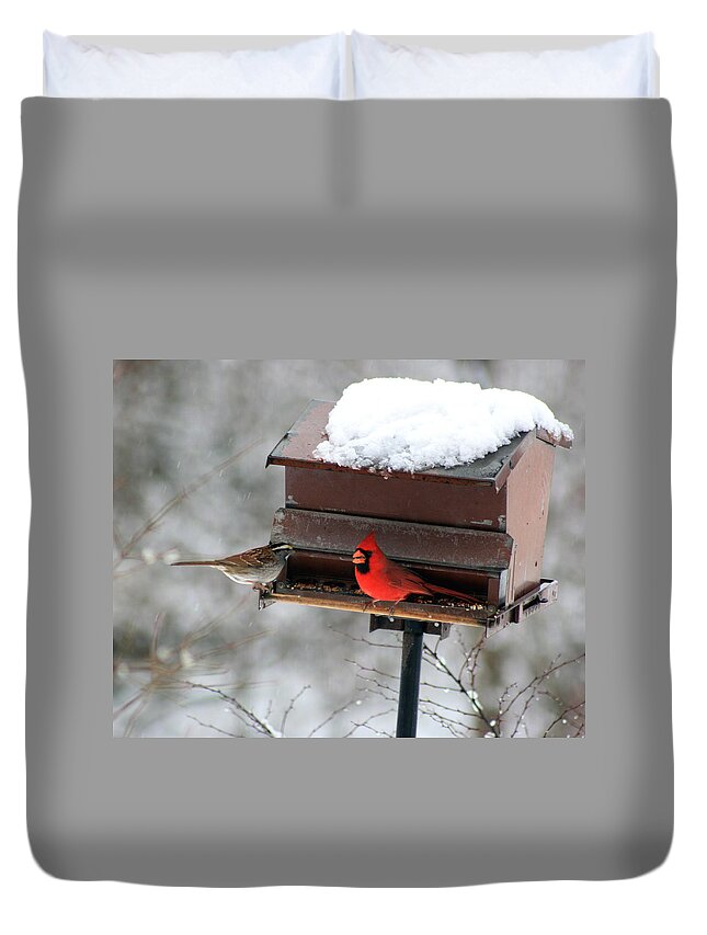 Cardinal Duvet Cover featuring the photograph Cardinal and Sparrow at Feeder by George Jones