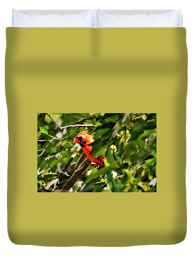 Cardinal Duvet Cover featuring the photograph Cardinal in Tree by Chuck Brown