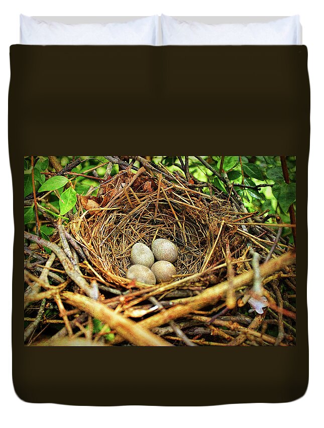 Brown Thrasher Nest And Eggs Duvet Cover featuring the photograph Brown Thrasher Nest And Eggs by Bellesouth Studio