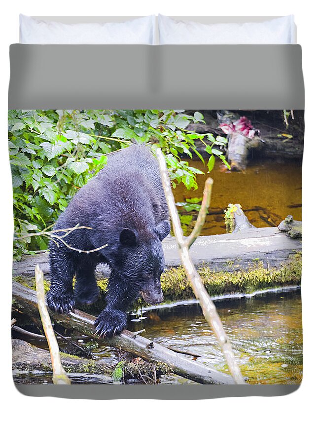 Wildlife. Black Bear Duvet Cover featuring the photograph Careful Now by Harold Piskiel