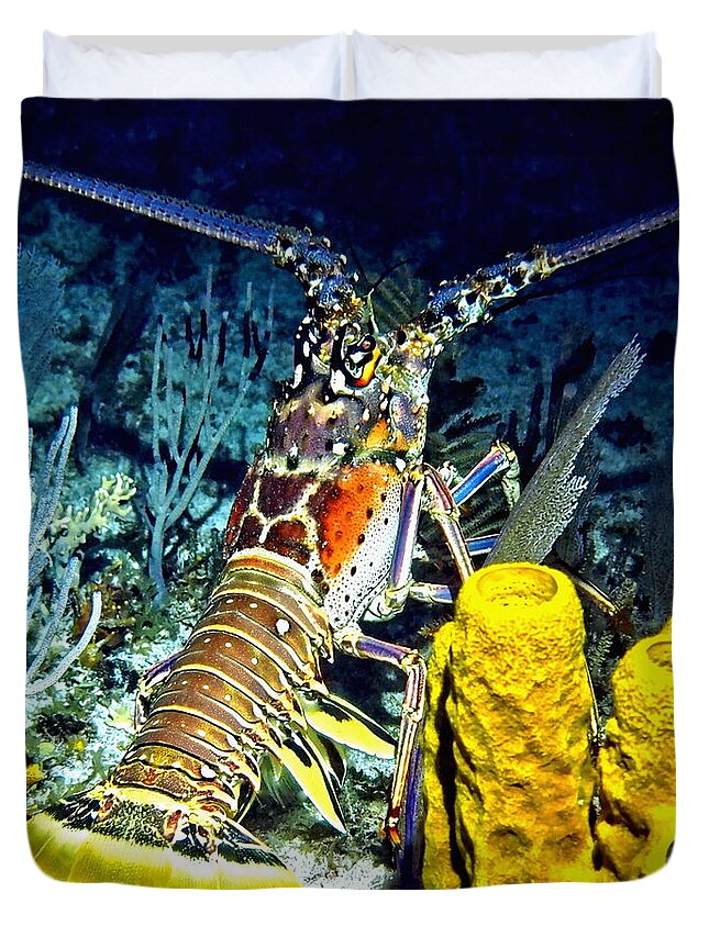 Ocean Duvet Cover featuring the photograph Caribbean Reef Lobster by Amy McDaniel