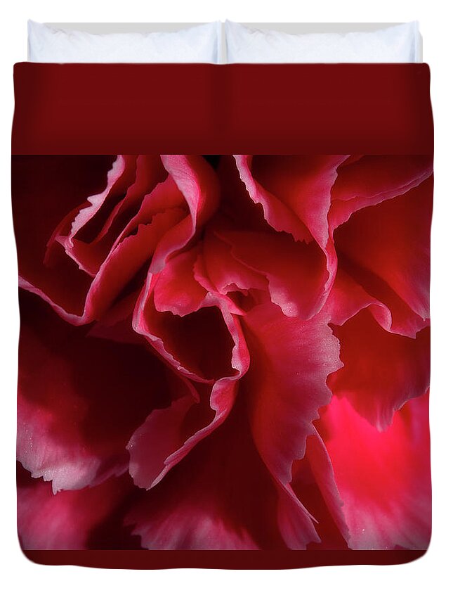Carnation Duvet Cover featuring the photograph Carnation Series 4 by Mike Eingle