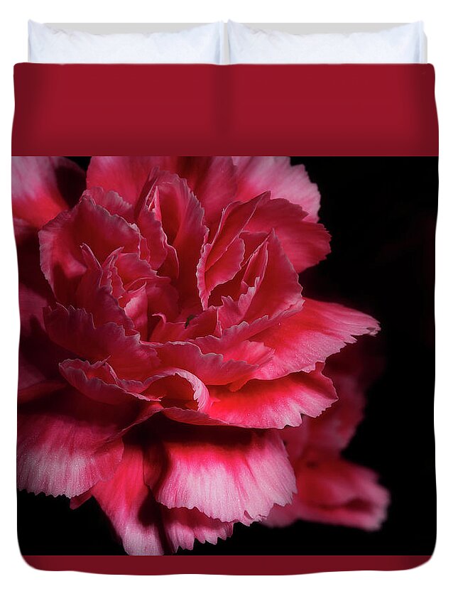 Carnation Duvet Cover featuring the photograph Carnation Series 5 by Mike Eingle