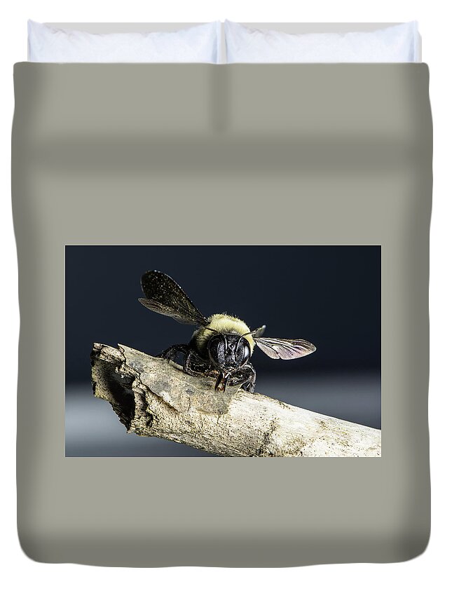 Wildlife Duvet Cover featuring the photograph Carpenter Bee by John Benedict