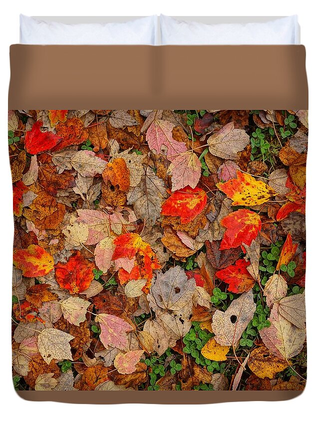  Duvet Cover featuring the photograph Carpet by Rodney Lee Williams