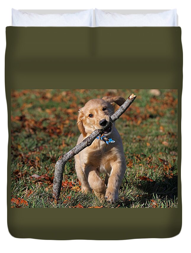 Puppy Duvet Cover featuring the photograph Carring the Load by Juergen Roth
