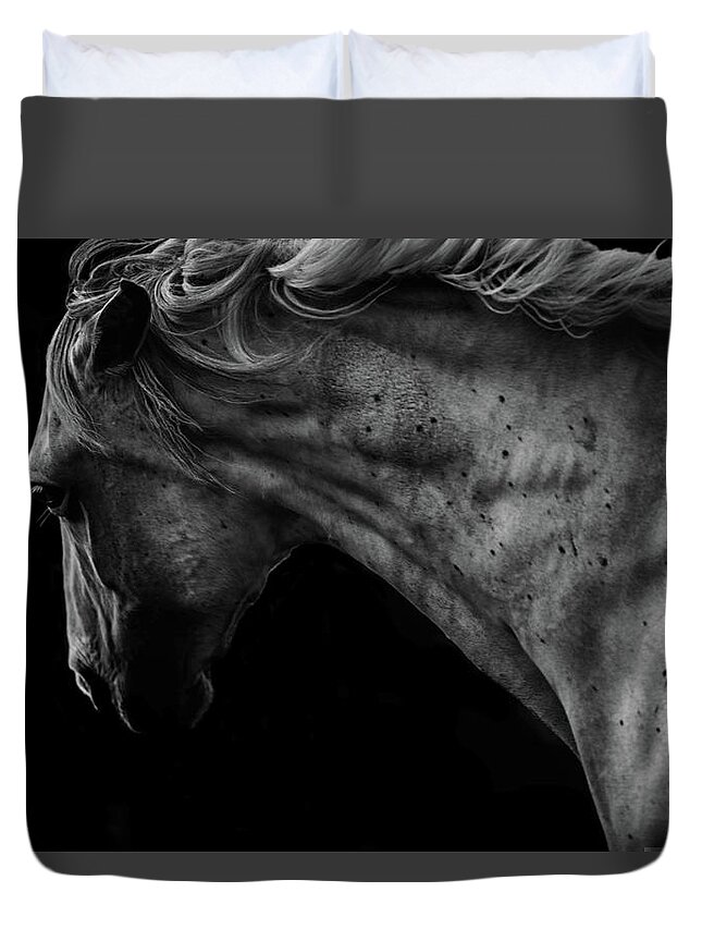  Duvet Cover featuring the photograph Carved in Stone by Ryan Courson
