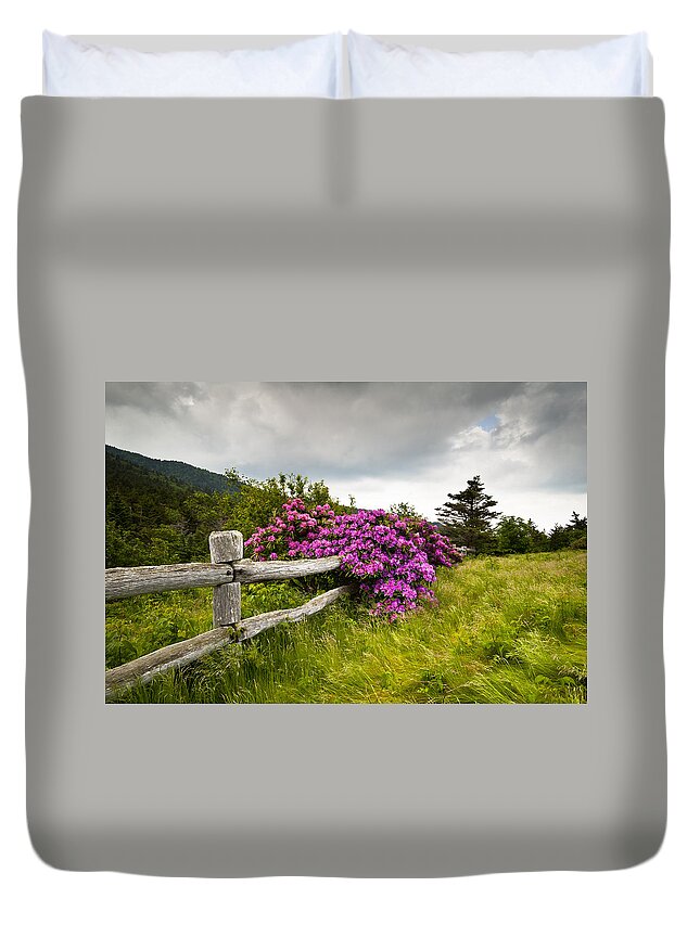 Carvers Gap Duvet Cover featuring the photograph Carvers Gap Roan Mountain State Park Highlands TN NC by Dave Allen