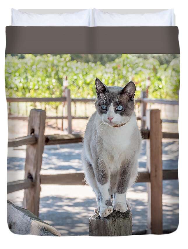 Cat Duvet Cover featuring the photograph Cat on a Wooden Fence Post by Derek Dean