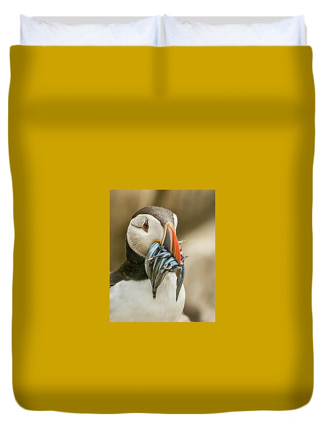 Puffin Duvet Cover featuring the photograph Catch of the day by Brian Tarr