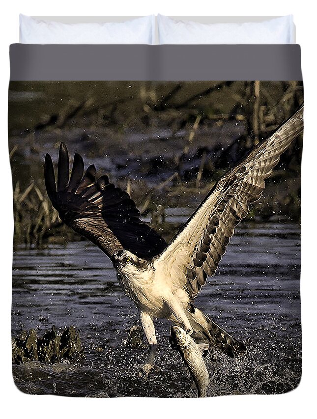Osprey Duvet Cover featuring the photograph Catch of the Day by Joe Granita