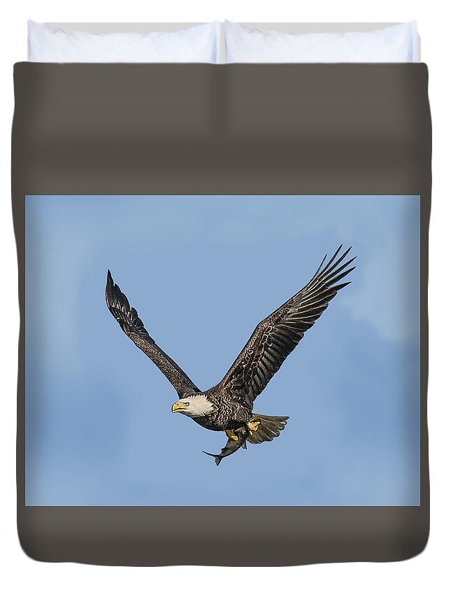 Bird Duvet Cover featuring the photograph Catch Of The Day by William Bitman