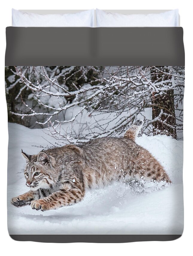 Animal Duvet Cover featuring the photograph Catching Some Air by Teresa Wilson
