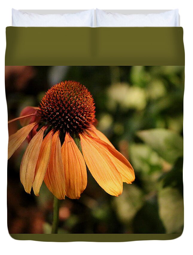 Daisy Duvet Cover featuring the photograph Catching Some Rays by Living Color Photography Lorraine Lynch