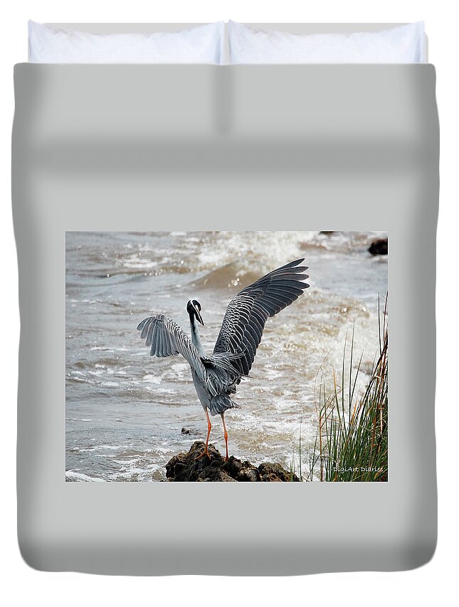 Birds Duvet Cover featuring the digital art Catching the River Breeze by DigiArt Diaries by Vicky B Fuller