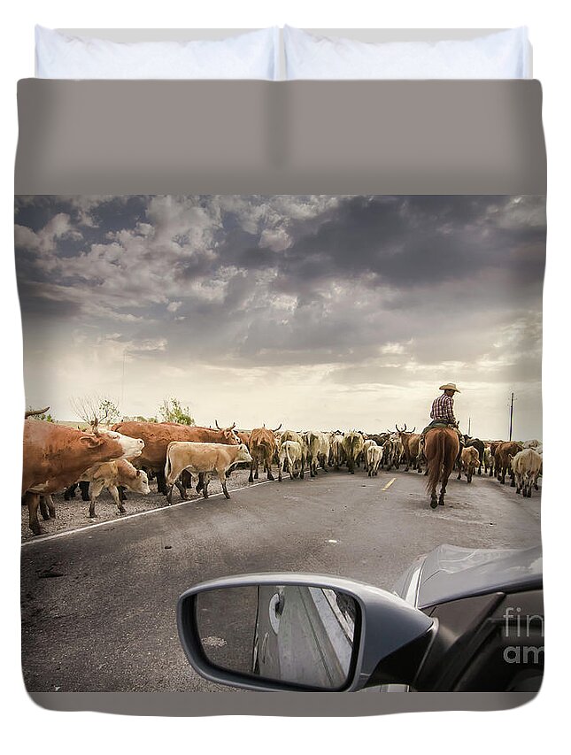 Landscape Duvet Cover featuring the photograph Cattle Drive by Robert Frederick