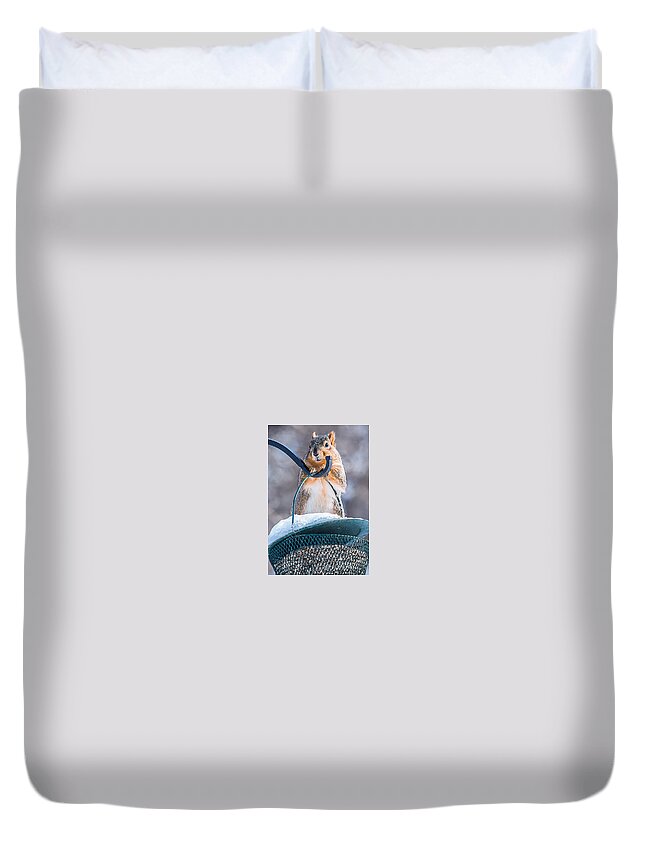Heron Heaven Duvet Cover featuring the photograph Cautious Squirrel by Ed Peterson