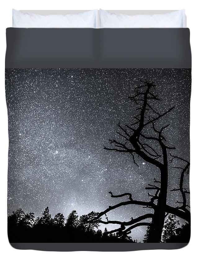 Sky Duvet Cover featuring the photograph Celestial Stellar Dark Universe by James BO Insogna