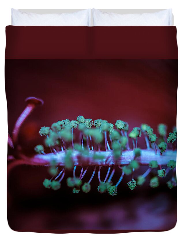 Hibiscus Duvet Cover featuring the photograph Center of the Hibiscus World by Sherman Perry