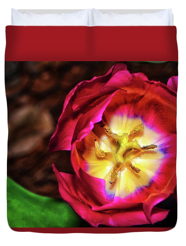 Red Duvet Cover featuring the photograph Centerpiece - Grand Opening RedTulip 005 by George Bostian