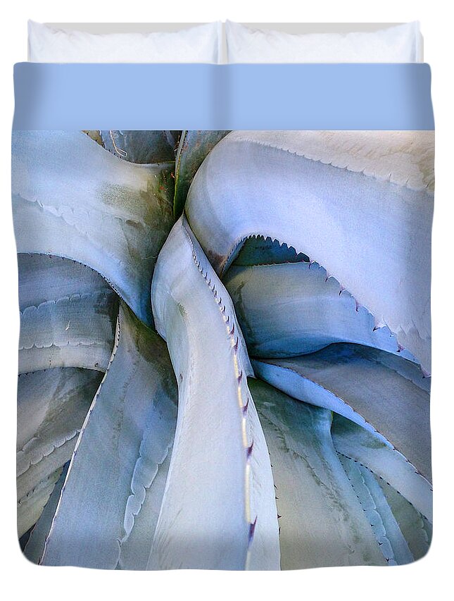 Agave Duvet Cover featuring the photograph Centre d'un Agave by Stan Magnan