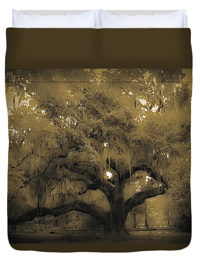 Live Oak Duvet Cover featuring the photograph Centurion Oak by DigiArt Diaries by Vicky B Fuller