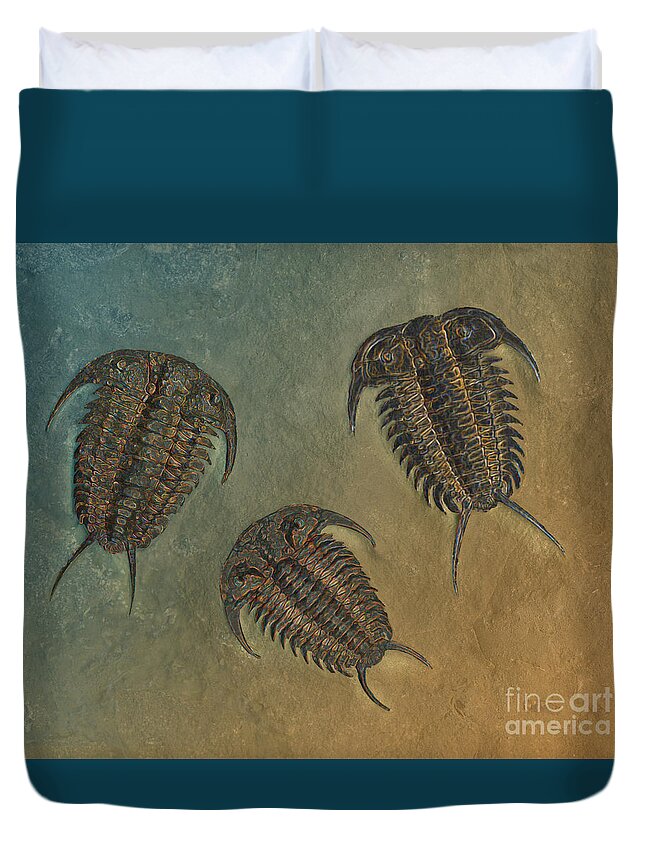 Trilobite Duvet Cover featuring the photograph Ceraurus and Leviceraurus by Melissa A Benson