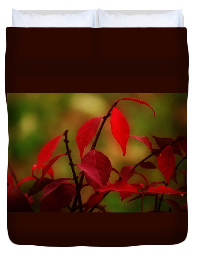 Leaves Duvet Cover featuring the photograph Changing Seasons by Toni Hopper