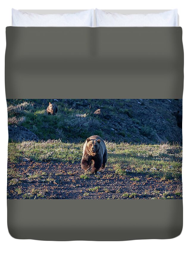 Grizzly Bear Duvet Cover featuring the photograph Charging Grizzly by Mark Miller
