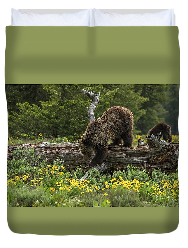 Bear Duvet Cover featuring the photograph Checking Out A Log by Yeates Photography