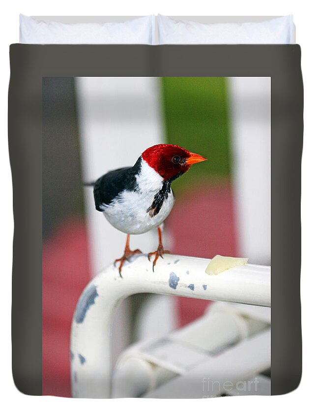 Cheese And I Duvet Cover featuring the photograph Cheese and I by Jennifer Robin