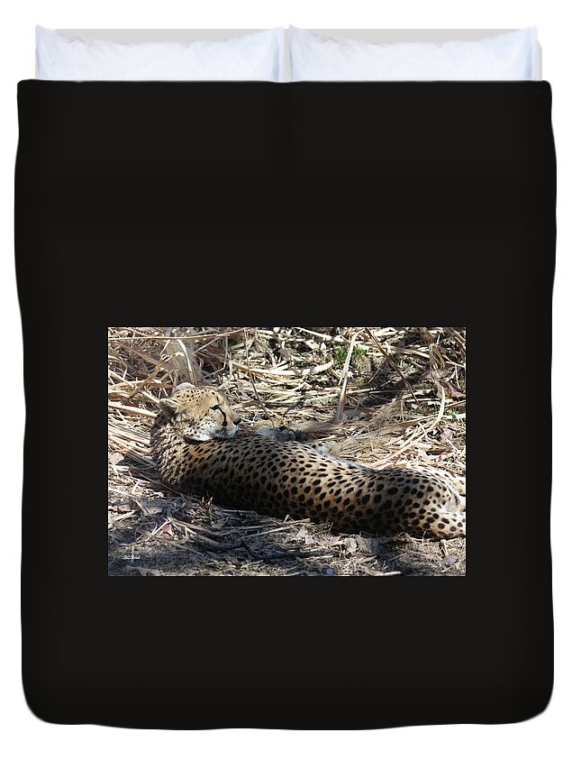 Maryland Duvet Cover featuring the photograph Cheetah Awakened by Ronald Reid