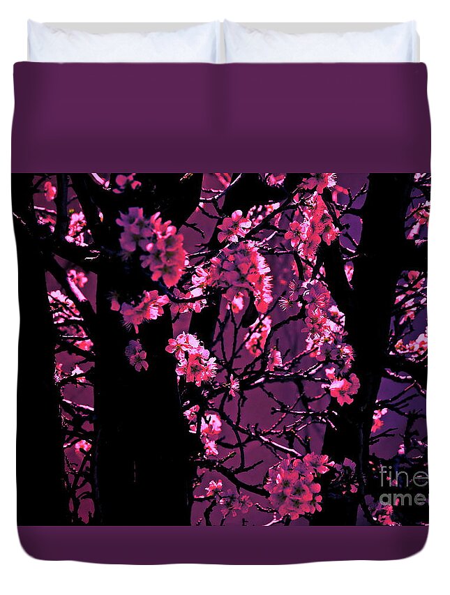 Digital Altered Photo Duvet Cover featuring the photograph Cherry Bloom by Tim Richards